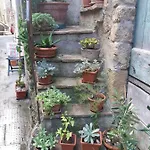 La Bico' * 피틸리아노